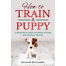 How to Train a Puppy: A Beginner's Guide to Raising a Puppy with Positive Training