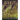 Warriors of Athena: Quests