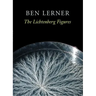 The Lichtenberg Figures