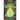 Lime Green Ghost