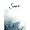Soar: Indie Author Business Planner (Second Edition): Indie Author Business Planner