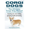 Corgi Dogs. The Ultimate Corgi Dog Manual. Corgi dog care, costs, feeding, grooming, health and training.