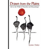 Drawn from the Plains: Life in the Wilds of Namibia and Moçambique