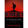 Forged by Fire: The 7th Somersets in WW1