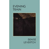 Evening Train: Poetry