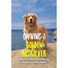 Owning A Golden Retriever: Things Every Owner Should Know, From Breeding To Feeding & Training: The Best Breeding Practices For Golden Retrievers