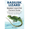 basilisk: Basilisk Lizard. Basilisk Lizard Pet Owners Guide. Basilisk Lizards care, behavior, diet, interacting, costs and healt