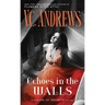 Echoes in the Walls