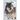 White Fang