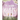 The Memory Keepers
