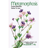 Metamorphosis: Purple Butterflies Dance To Jazz