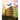 A Forest Begins Anew