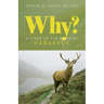 Why?: A Study of the Book of Habakkuk