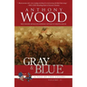 Gray & Blue: A Story of the Civil War
