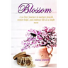 Blossom: A 30-Day Journey for the Single Mom