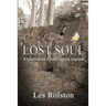 Lost Soul: A Confederate Soldier In New England