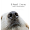 I Smell Heaven: Poems on our pets' end of life