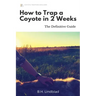 How To Trap a Coyote in 2 Weeks: The Definitive Guide