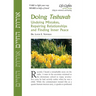 Doing Teshuvah-12 Pk