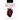 The Anatomy of The Heart: The Physical Phenomenon of Spiritual Transformation