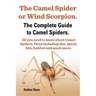 The Camel Spider or Wind Scorpion. the Complete Guide to Camel Spiders. All You Need to Know about Camel Spiders. Facts Including Size, Speed, Bite an