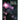 Observing Variable Stars: A Guide for the Beginner