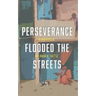 Perseverance Flooded the Streets