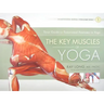 The Key Muscles of Yoga