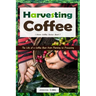 Harvesting Coffee: The Life of a Coffee Bean from Planting to Processing