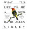 What It's Like to Be a Bird: From Flying to Nesting, Eating to Singing--What Birds Are Doing, and Why