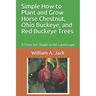 Simple How-To Plant and Grow Horse Chestnut, Ohio Buckeye, and Red Buckeye Trees: 3 Trees for Shade in the Landscape