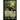 Intulo: The Lost World