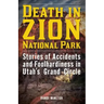 Death in Zion National Park: Stories of Accidents and Foolhardiness in Utah's Grand Circle