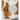 The Art of French Pastry: A Cookbook