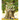Through the Fairy Door: A Picture Book