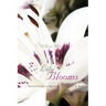 When the Lily Blooms: Reflections to Restore the Heart and Soul