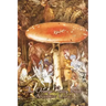 The Orange Fairy Book by Andrew Lang, Fiction, Fairy Tales, Folk Tales, Legends & Mythology