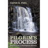 Pilgrim's Process: Essays from a Theological Journey