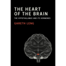 The Heart of the Brain: The Hypothalamus and Its Hormones