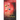 The Door of Colours: The Akvarell Chronicles - Book 1