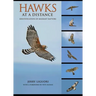 Hawks at a Distance: Identification of Migrant Raptors