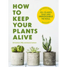 How to Keep Your Plants Alive: 50 Plants That Are Impossible to Kill