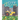 City Farm