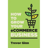How to Grow your eCommerce Business: The Essential Guide to Building a Successful Multi-Channel Online Business with Google, Shopify, eBay, Amazon & F