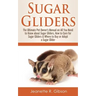 Sugar Gliders: The Ultimate Pet Owner's Manual on All You Need to Know about Sugar Gliders, How to Care for Sugar Gliders & Where to