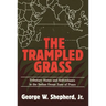 The Trampled Grass: Tributary States and Self-Reliance in the Indian Ocean Zone of Peace