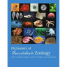 Dictionary of Invertebrate Zoology --Paperback