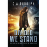 Divided We Stand: Book Four of the What's Left of My World Series