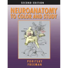 Neuroanatomy to Color and Study