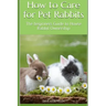 How to Care for Pet Rabbits: The beginners Guide to House Rabbit Ownership